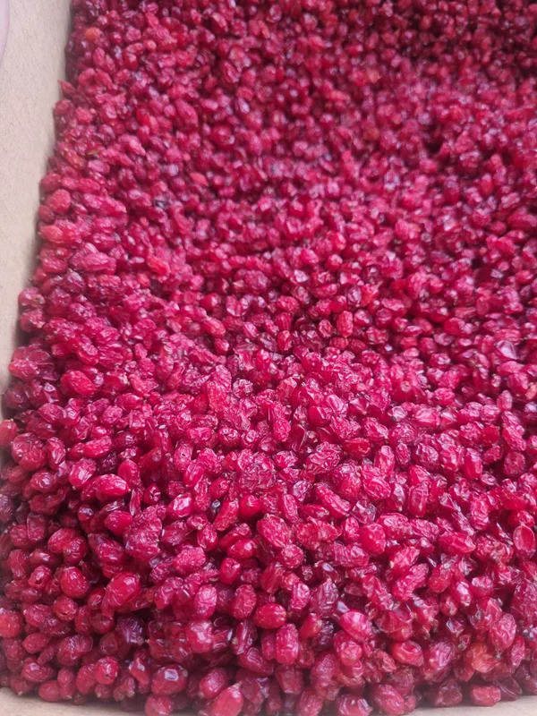 زرشک پفکی 750 گرمی