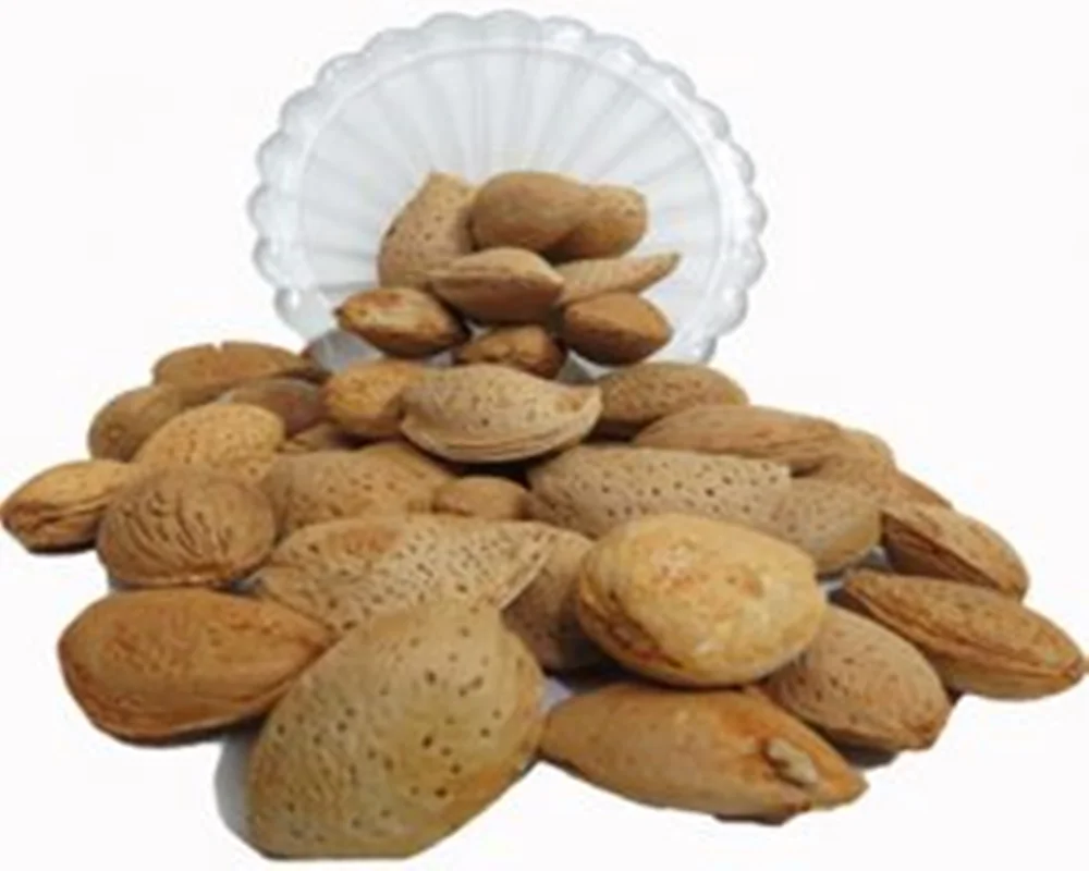 بادام سنگی امسالی نیم کیلویی